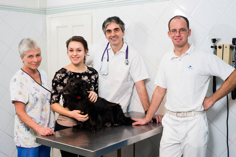 cityvet-low-level-laser-therapy